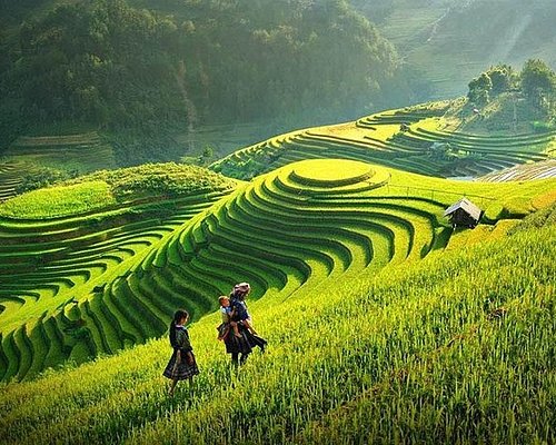 Top Mountain Biking Trips from Bac Ha to Sapa 8 Days